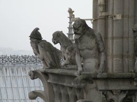 Gargouilles de Ntre dame 081