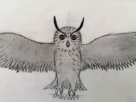 TRAVAIL EN COURS, Le livre d'artiste des rhétos, Hooshang
