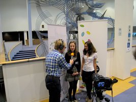IMG 4331