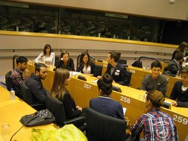 IMG 4337